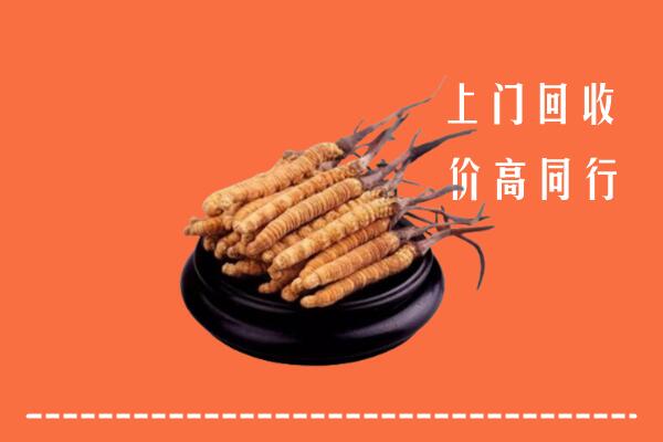 高价求购：廊坊霸州回收散虫草