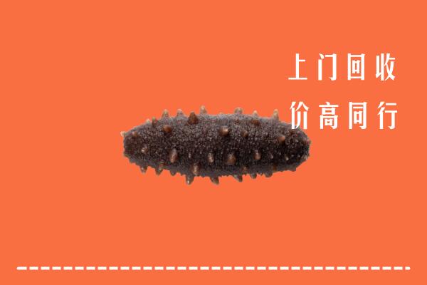 高价求购：廊坊霸州回收海参