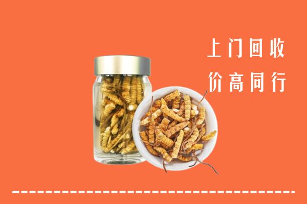 廊坊霸州回收冬虫夏草